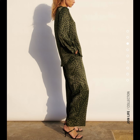 Zara 2-Piece Animal Print Shirt & Pants Set SIZE Small - Picture 3 of 16